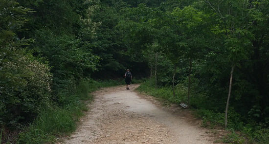 ▲ 12일 오후 군포시 수리산 도립공원에서 아무 인적이 없는 등산로를 한 남성 등산객이 혼자 오르고 있다.