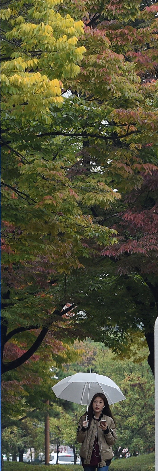▲ 가을비가 내린 16일 인천 중앙공원에서 우산을 쓴 시민이 발걸음을 재촉하고 있다.  최민규 기자 cmg@kihoilbo.co.kr