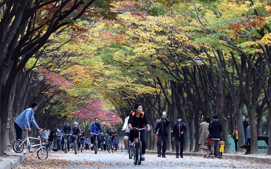 ▲ 휴일인 23일 인천대공원을 찾은 시민들이 가을 단풍을 감상하며 산책을 즐기고 있다.  최민규 기자 cmg@kihoilbo.co.kr