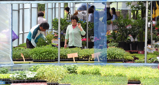 ▲ 4일 오후 수원 농산물유통센터 야외분수대 앞 광장에서 제14회 꽃·나무시장이 개장한 가운데 시민들이  묘목을 고르고 있다.홍승남 기자 nam1432@kihoilbo.co.kr