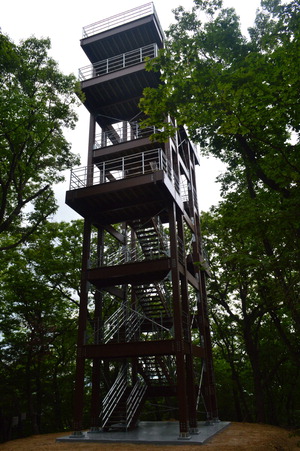 ▲ 광릉숲에 설치된 ‘생태연구타워’는 21m 높이로 산불감시, 생태 모니터링 연구 등 다양한 목적으로 활용 가능하다