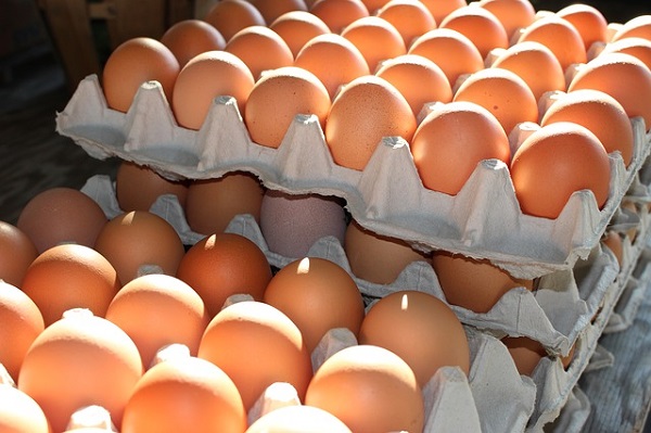 fresh-eggs-2581036_640.jpg