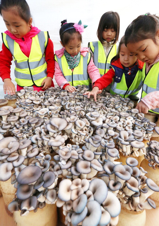 ▲ 1일 용인시청 광장에서 농업인들과 도시민이 화합하고 소통하는 ‘도·농 어울림 한마당 행사’가 열려 어린이들이 버섯을 만져보며 버섯의 특징에 대해 배워보고 있다. 용인=홍승남 기자 nam1432@kihoilbo.co.kr