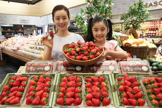 ▲ 25일 오전 서울 중구 신세계백화점 본점 식품관에서 모델들이 여름 딸기를 선보이고 있다.  /연합뉴스