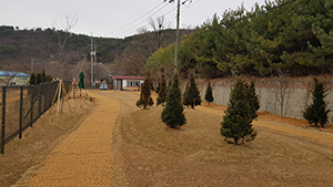 김포,-반려동물-전용공원-조성.jpg