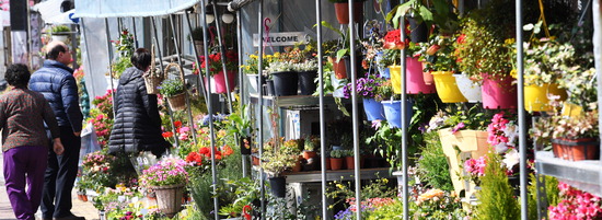 ▲ 포근한 봄 날씨가 이어진 28일 의왕시 포일동의 화훼단지를 찾은 시민들이 다양한 꽃들을 살펴보고 있다. 의왕=홍승남 기자 nam1432@kihoilbo.co.kr
