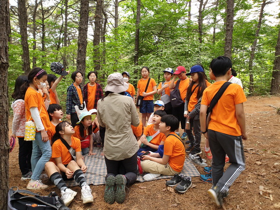 ▲ ‘숲 체험 활동’에 참여한 수원 천일초교 학생들이 숲 해설가 말을 경청하고 있다.  <수원 천일초등학교 제공>