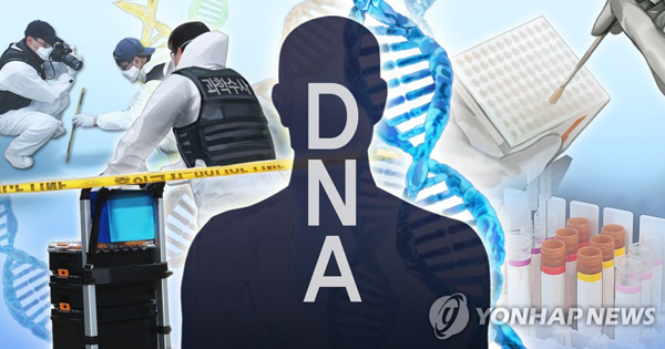 과학수사 DNA 분석 (PG) /사진 = 연합뉴스