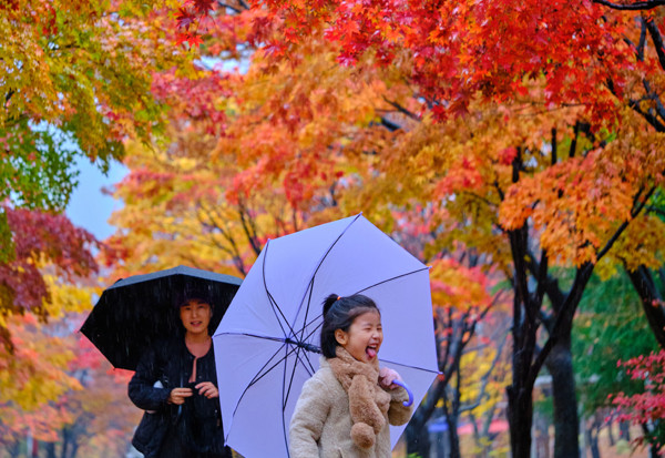 가을비가 내린 13일 인천시 남동구 중앙공원에서 우산을 쓴 모녀가 산책을 하고 있다.  이진우 기자 jw@kihoilbo.co.kr