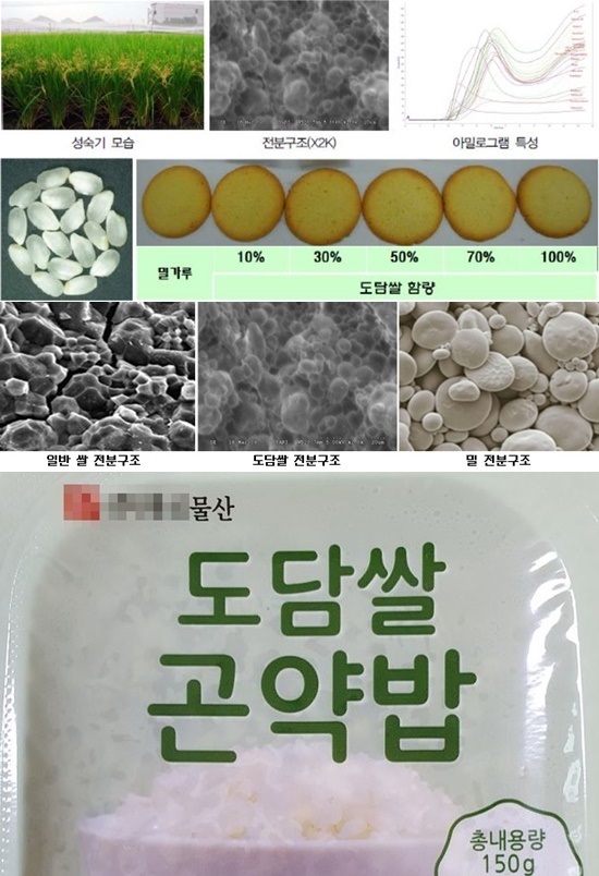 도담쌀 성분(농촌진흥청)과 즉석밥(온라인커뮤니티)