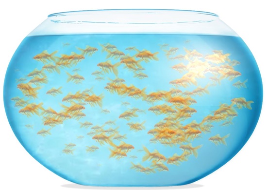 fishbowl 기기 성능 테스트