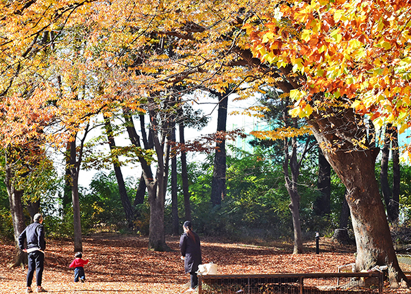 경기상상캠퍼스 잔디밭에서 어린이와 부모가 자유롭게 산책을 즐기고 있다.