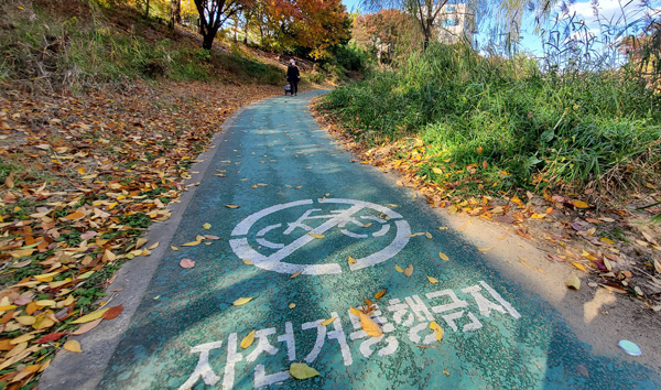 수원시 영통구 원천리천 산책로 하류 방향에 ‘자전거 통행 금지’라는 글씨가 새겨져 있다. 홍승남 기자 nam1432@kihoilbo.co.kr