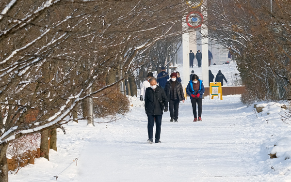 13일 인천시 남동구 중앙공원 일대가 전날 내린 눈으로 새하얗게 뒤덮인 가운데 시민들이 산책을 하고 있다.  이진우 기자 ljw@kihoilbo.co.kr