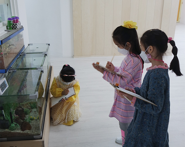 안양 성결대학교 부속유치원 아이들이 유치원 안의 생물을 조사했다.