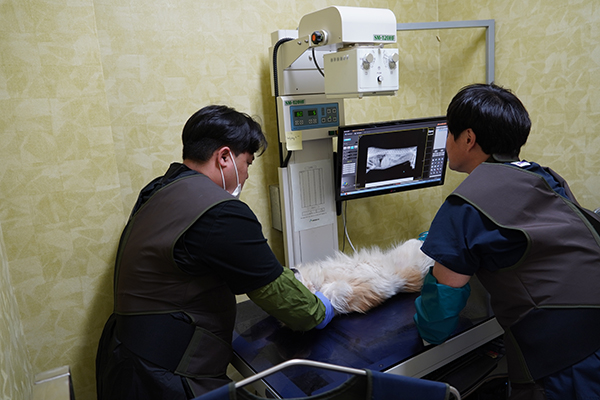 경기도 반려동물센터에서 강아지 건강검진을 진행했다.
