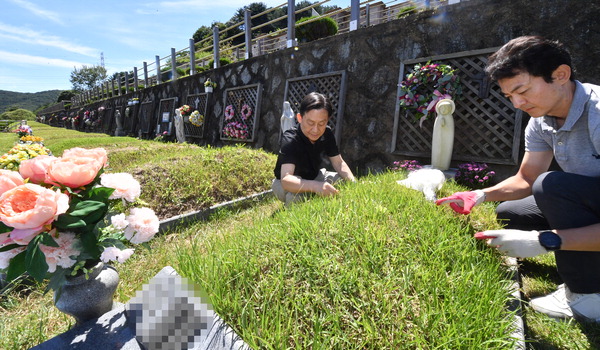 "일찍 뵈러 왔어요"  추석을 2주가량 앞둔 28일 용인시 천주교용인공원 묘원을 찾은 성묘객들이 봉분의 잡초를 뽑았다.   용인=홍승남 기자 nam1432@kihoilbo.co.kr