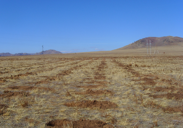 몽골 수원시민의 숲이 조성되기 전인 2010년 현지답사 당시 급격한 사막화로 황량했던 사업 대상지의 모습.