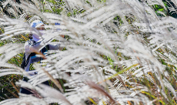 선선한 가을날씨를 보인 17일 인천시 연수구 동춘터널 위 인천둘레길 억새밭에서 한 시민이 사진을 찍으며 가을정취를 만끽했다.  이진우 기자 ljw@kihoilbo.co.kr