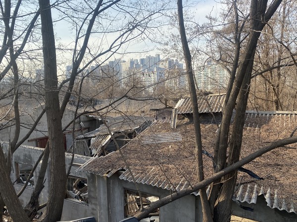 수십년 전 운영을 중단한 폐축사 석면소재 슬레이트 지붕이 무너진 채 방치 중이다. 바로 뒤 아파트 단지들이 보인다.
