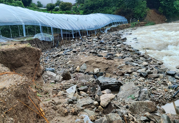지난해 8월 큰비로 범람한 성덕소하천 인근 농경지 비닐하우스가 무너지고 농경지가 유실됐다. <독자 제공>