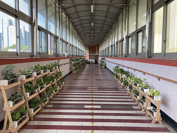송호고등학교 친환경교실서 키우는 화분들이 복도에 나왔다.