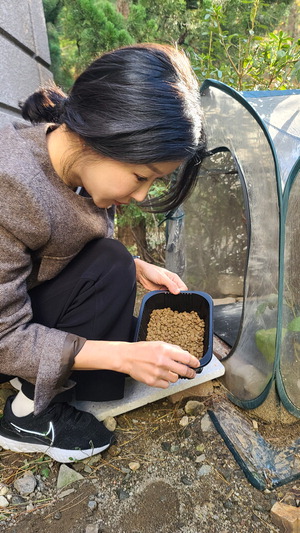 이혜승 의원이 아파트 마을 고양이 급식소에서 먹이를 주는 모습, <이혜승 의원 제공>