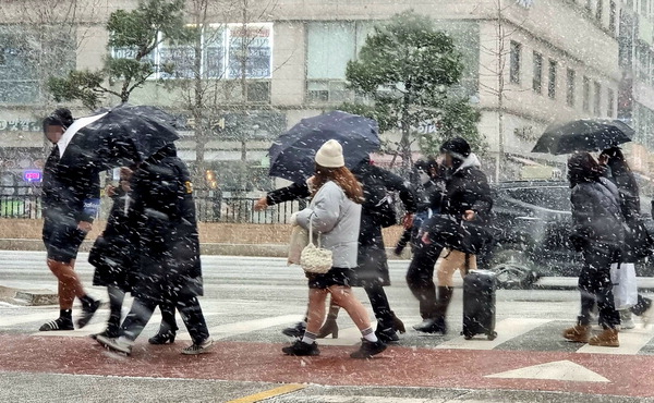 전국이 영하권 강추위 날씨를 보인 지난 16일 오후 고양특례시 일산 일대에 눈이 펄펄 내린다. /연합뉴스
