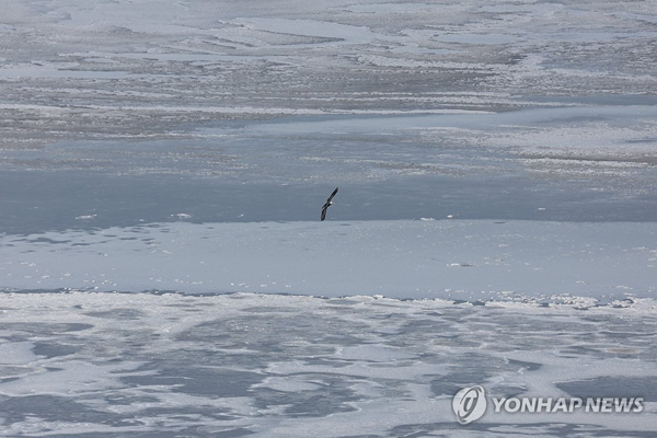 한파에 얼어 붙은 임진강. /사진 = 연합뉴스