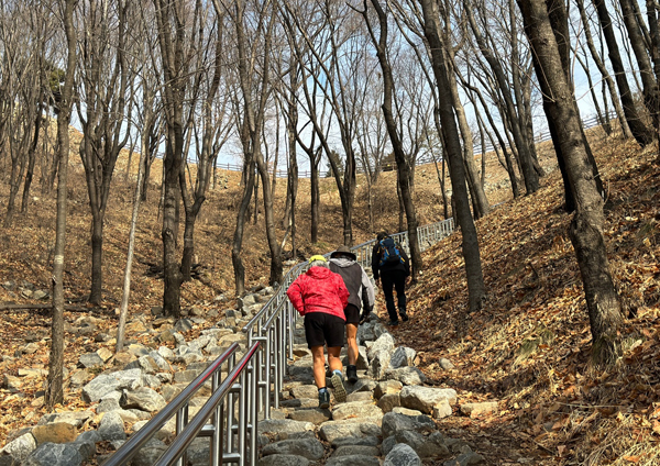 7일 오전 10시께 찾은 인천시 계양구 계양산에서 안전장비를 착용하지 않은 시민들이 산을 오른다.