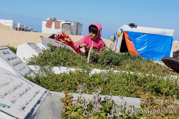 가자지구 난민촌 근처에 만들어진 무덤(라파·로이터=연합뉴스) 지난 달 5일(현지시간) 가자지구의 한 난민촌 근처에 만들어진 무덤 앞에 한 소녀가 풀을 정리하고 있다.