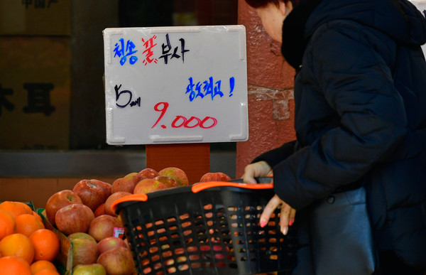 과일 가격이 연일 고공행진을 하는 가운데 13일 인천시 남동구 모래내시장에서 한 시민이 비교적 저렴한 사과를 고르고 있다.  이진우 기자 ljw@kihoilbo.co.kr
