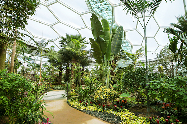 부천호수식물원 수피아는 실내정원을 갖춰 추운 겨울에도 따뜻하게 사계절 푸른 식물을 감상할 수 있다.