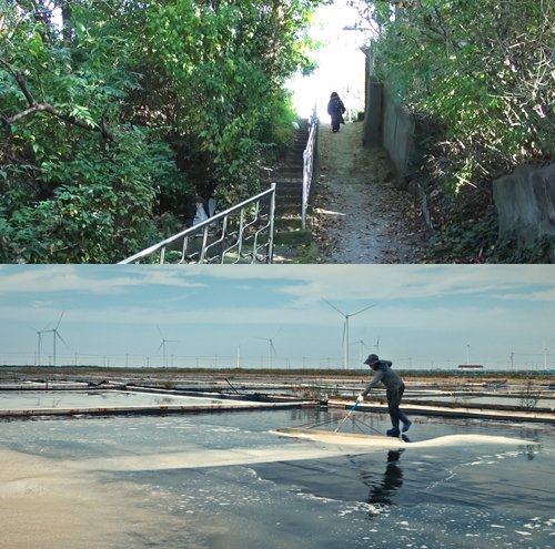 다큐 ‘나무가 흔들릴 때 마음이 찾아온다’(위)와 ‘일과 날’ 스틸컷.