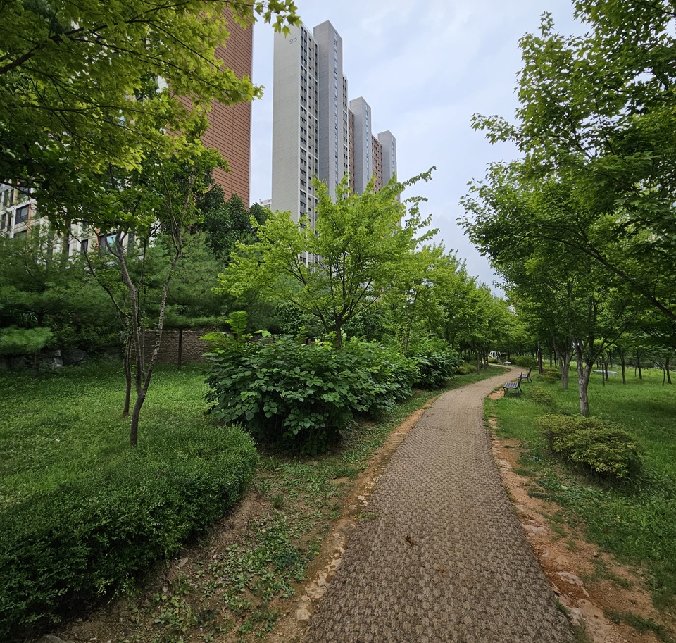 인천시 미추홀구, 도화 녹지에 맨발 산책로 조성