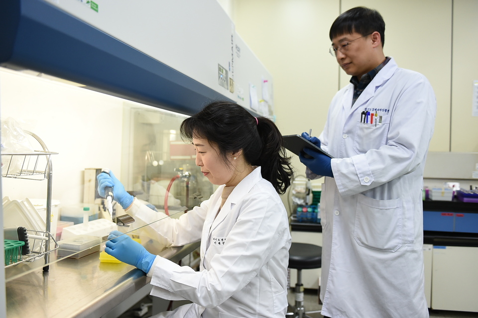 콜레스테롤 개선 원료 국산화 관련