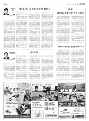 19면 미리보기 이미지