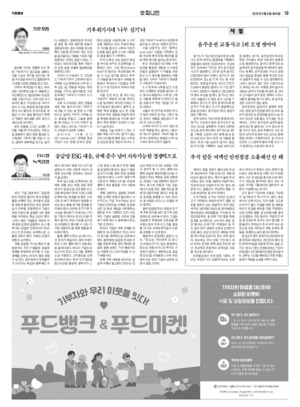 19면 미리보기 이미지