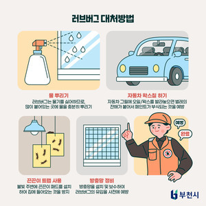 부천시, 독성없는 <b>러브버그</b> 대처법 안내