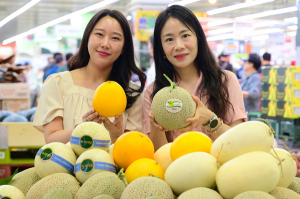 멜론 여름 더위에 보약