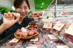 제주도 열대 과일은 어떤 맛일까
