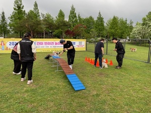 여보개나 나랑 함께 놀아 보개나