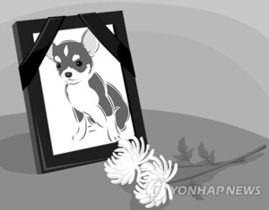 “나는 어디로 가야 하죠?”