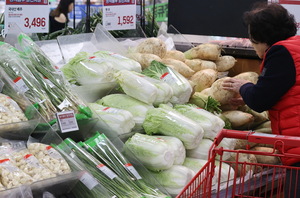 농식품부, 배추·무 등 최대 40% 할인…김장 물가 잡기에 500억 원 투입