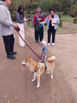 인천 남동구, 인천대공원 등서 ‘펫티켓 캠페인’ 벌여
