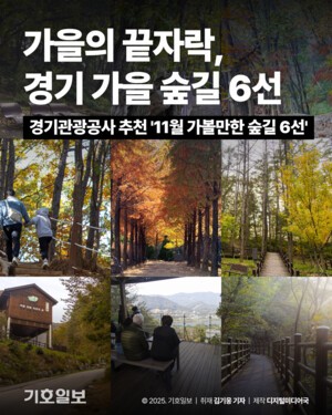 [카드뉴스] 늦가을의 향기, 경기도 숲길 6선