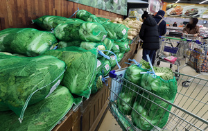 여름철 ‘금배추’, 김장철 가격 안정세