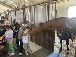 경기도체육회, 스포츠취약계층 유소년 위한 승마 체험 행사 마련
