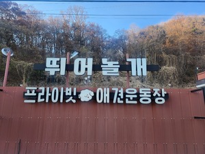 “신나게 뛰어놀아라”…양평의 반려동물 명소 ‘뛰어놀개’