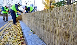 인천 거리 곳곳 겨울나기 채비